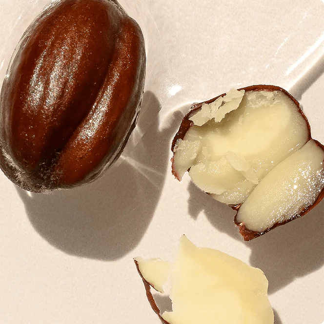 jojoba seed oil
